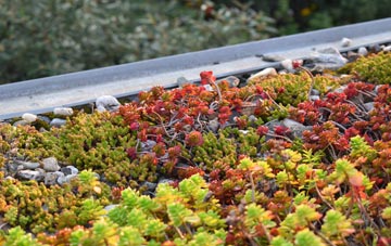 the cost of Ettingshall Park green roof installation