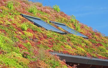 Ettingshall Park living roof systems